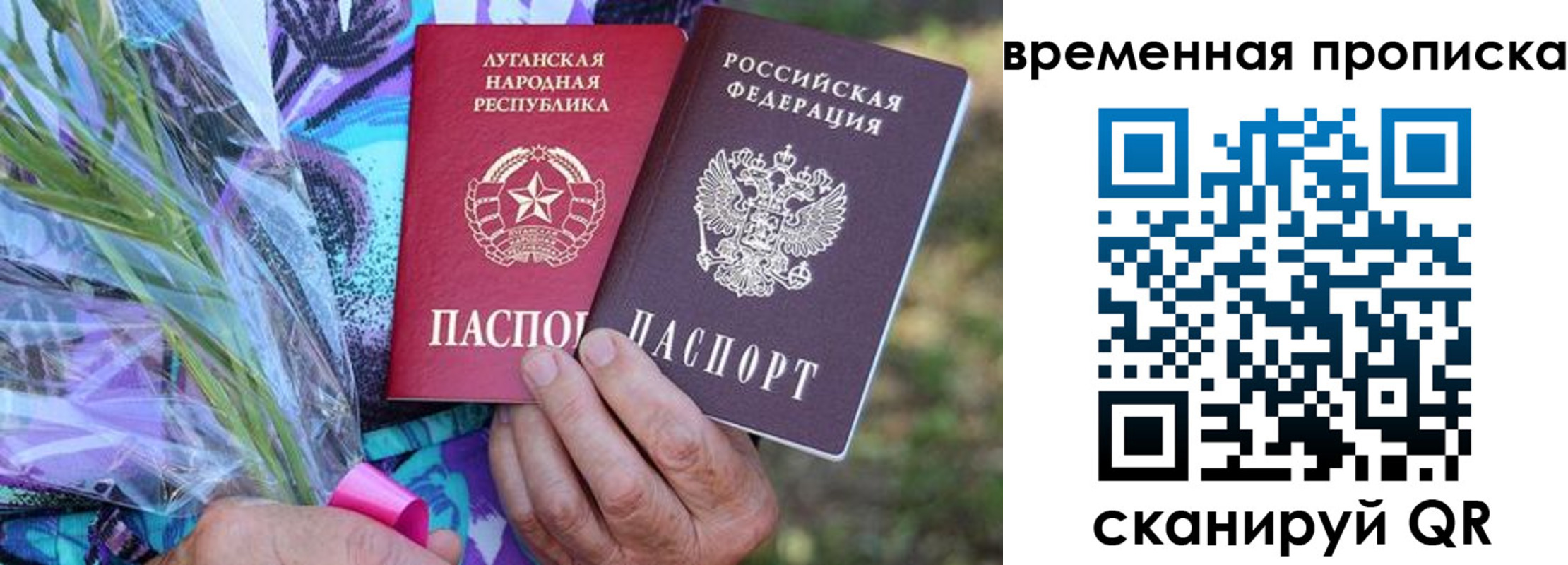 купить прописку в Владимирской области
